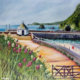 "Summer Flowers at Charlestown Harbour" prints by Liz Hackney